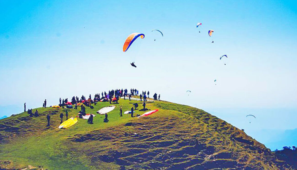 birbilling-featured-img