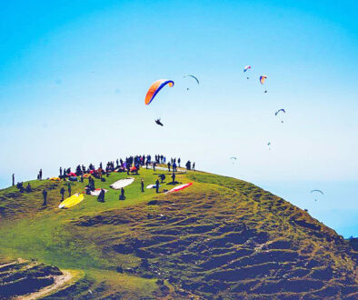 birbilling-featured-img