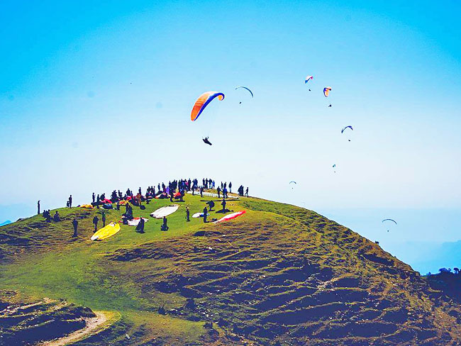 birbilling-featured-img